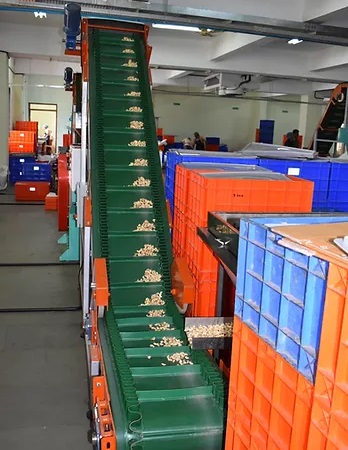 Horizontal Cashew Cutting Machine